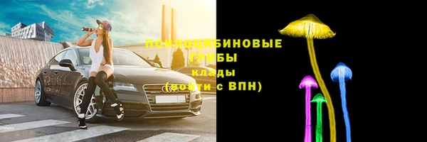 не бодяженный Алексин
