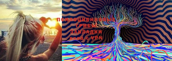 гашик Алексеевка