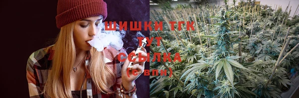 гашик Алексеевка