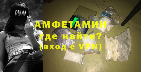 гашик Алексеевка