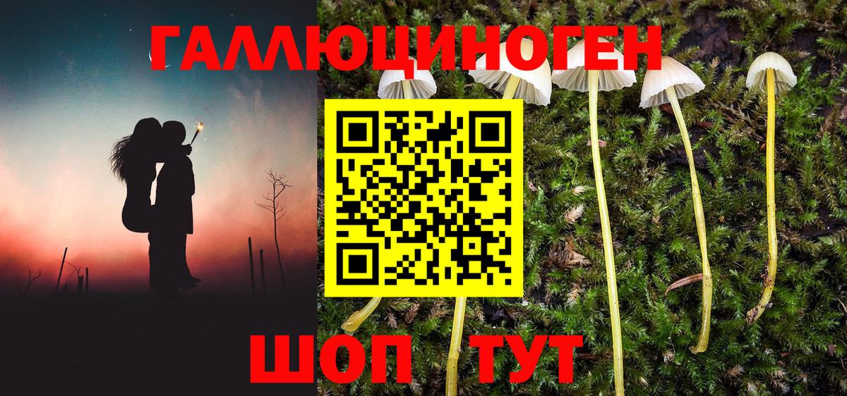 закладки  Галлюциногенные грибы ЛСД  Вход с VPN  Балашов 
